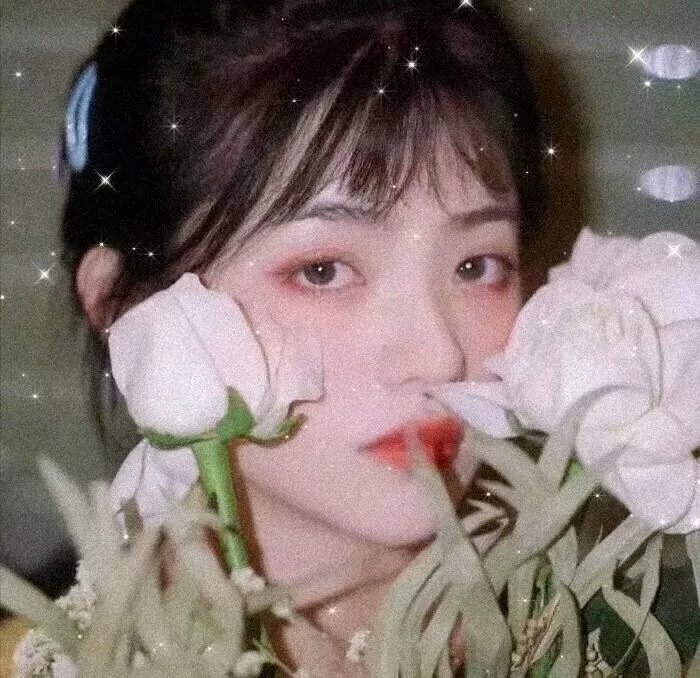 校园秘密档案